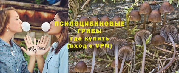 мет Бородино