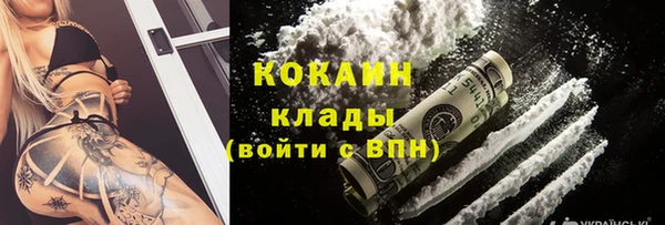 мет Бородино