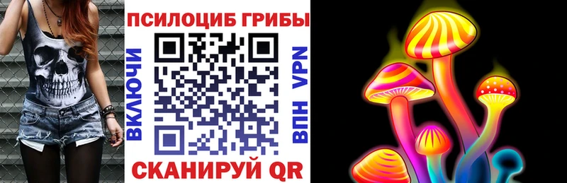 Псилоцибиновые грибы мухоморы  где найти наркотики  Катайск 